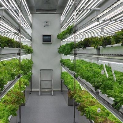 Coût d'expédition et délai de livraison estimé Serres de conteneurs pour légumes à feuilles