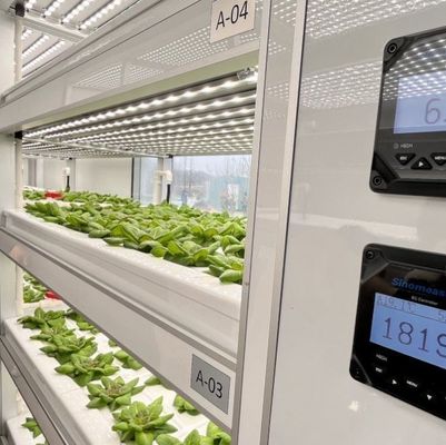 Coût d'expédition et délai de livraison estimé Serres de conteneurs pour légumes à feuilles