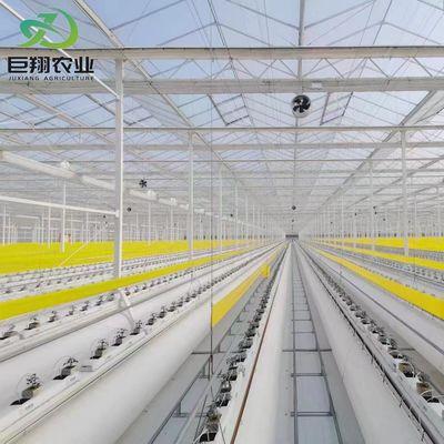 Structure en acier Serre de conteneurs verticaux pour l'agriculture avec système hydroponique à plusieurs étendues