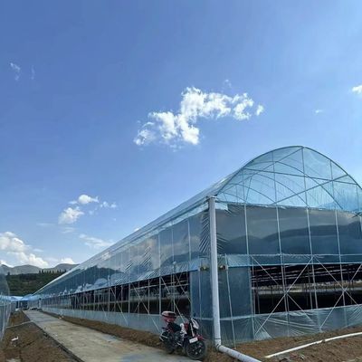 États-Unis Soil de cocope pour la culture de légumes dans l'agriculture commerciale durable en serre