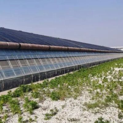 Département des serres en plastique Serre commerciale polyvalente Po/PE avec hydroponie
