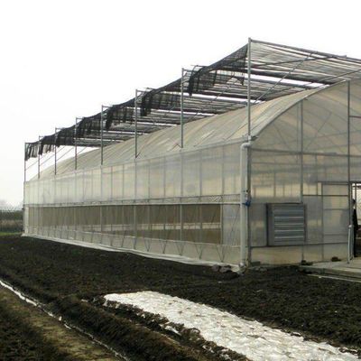 Département des serres en plastique Serre commerciale polyvalente Po/PE avec hydroponie