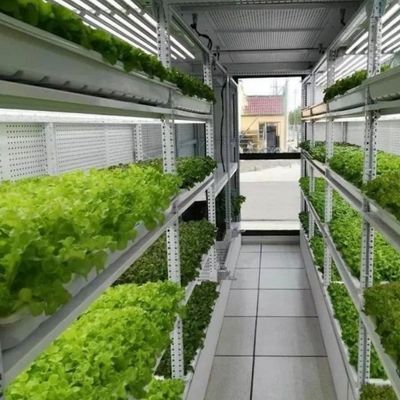 Type de contrôle intelligent Agriculture Ferme de conteneurs hydroponiques sur demande personnalisée
