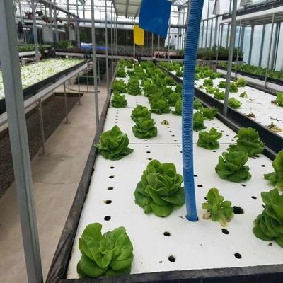 Serre à plusieurs étages avec hydroponie et structure en acier La combinaison parfaite