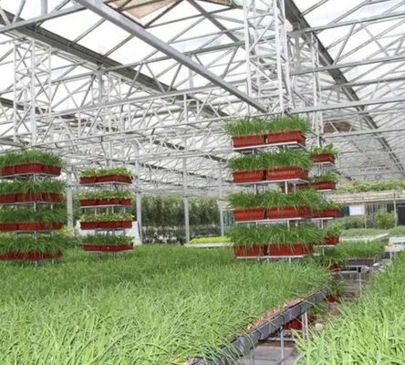 Serre à film de contrôle de l'humidité multi-span pour les légumes Optimiser la croissance des légumes