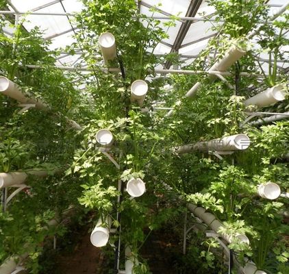 Serre à pellicule hydroponique à chauffage temporaire avec système de contrôle de l'humidité JX-FG-212