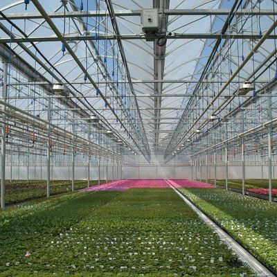 Serre à pellicule hydroponique à chauffage temporaire avec système de contrôle de l'humidité JX-FG-212