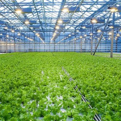 Serre à pellicule hydroponique à chauffage temporaire avec système de contrôle de l'humidité JX-FG-212