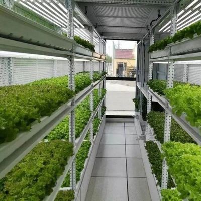 Économisez de l'espace avec notre système de culture hydroponique verticale