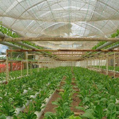 Système de serre à film commercial à double couche pour la gestion de l'humidité dans les serres