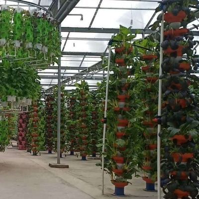 Serre à pellicule adaptée à la culture des semis et économique avec couverture en plastique