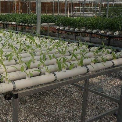 Conception de serre à pellicule de culture sans sol pour les légumes et méthode de chauffage temporaire