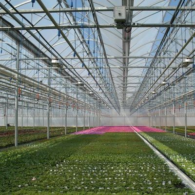 Conception de serre à pellicule de culture sans sol pour les légumes et méthode de chauffage temporaire