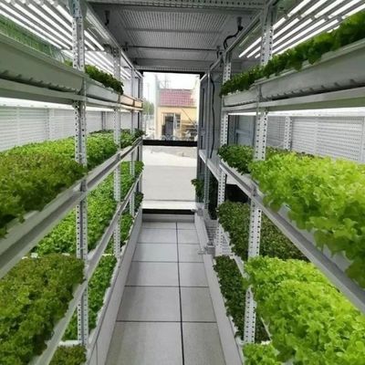 Personnalisation des systèmes de conteneurs d'aliments pour animaux hydroponiques en serre pour des performances optimales