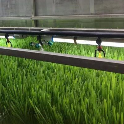 Système de culture de microgréens commerciaux en hydroponie intérieure avec serre JX-container