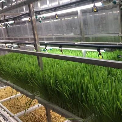 Solution hydroponique d'aliments pour animaux et légumes fruits fleurs pour serre dans un récipient JX