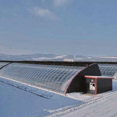 Roof à voûte Aquaculture Film végétal Serre à lumière du soleil pour les États-Unis Fleur de fraise