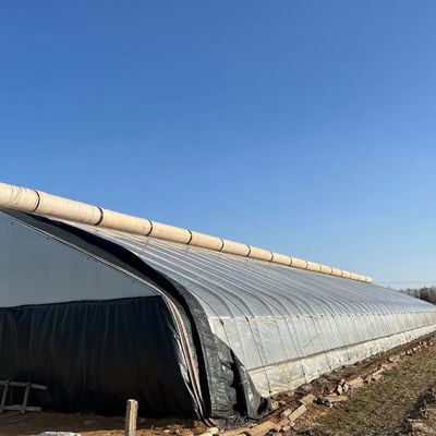 Roof à voûte Aquaculture Film végétal Serre à lumière du soleil pour les États-Unis Fleur de fraise