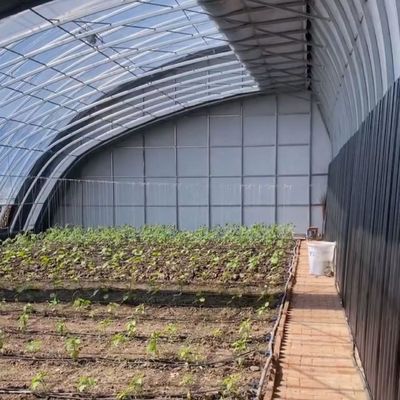 Roof à voûte Aquaculture Film végétal Serre à lumière du soleil pour les États-Unis Fleur de fraise