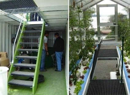 Régulation intelligente de la température Structure en acier Serre portable pour légumes à feuilles