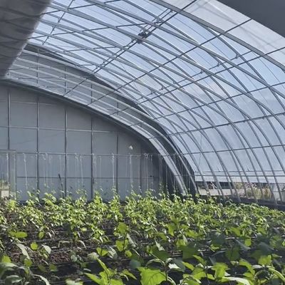 Système de serre hydroponique à pellicule végétale personnalisable pour une efficacité à plusieurs étendues
