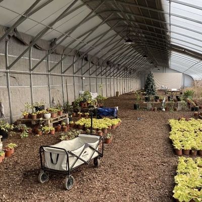 Structure en acier Système d'irrigation goutte à goutte pour les plantations de fleurs avec remboursement de 30 jours