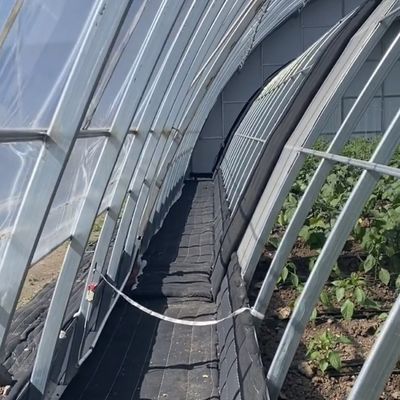 Structure en acier Système d'irrigation goutte à goutte pour les plantations de fleurs avec remboursement de 30 jours