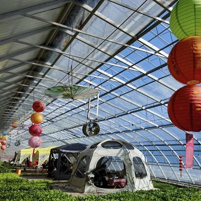 Serre à toit voûté pour la lumière du soleil Aquaculture Plantation de fleurs Production de légumes