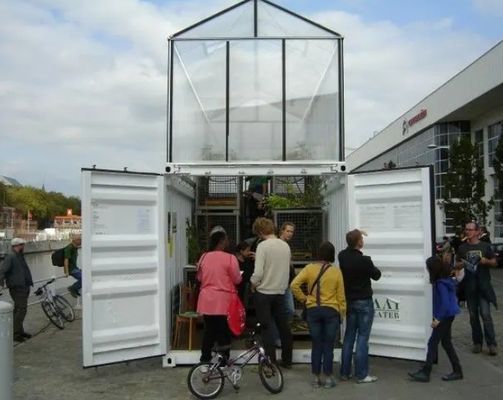 Grand récipient de serre pour la culture de légumes à feuilles soutenu par une structure en acier