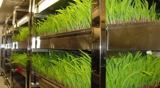 Département Option Conteneur de légumes à feuilles Maison avec personnalisation et feuille de toiture