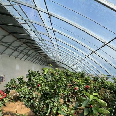 100.000kg Personnalisation Plantation de fleurs Irrigation à goutte à goutte Légumes Solaire Serre