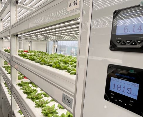 Méthode de culture hydroponique 40hq Récipient de récif pour serre de légumes à feuilles