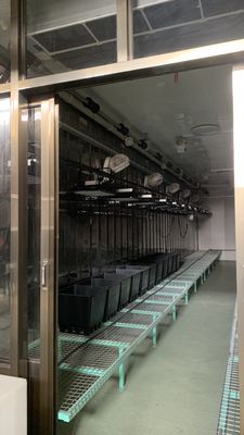 Contrôle de température intelligent Juxiang méthode de chauffage de la maison de conteneurs de légumes à feuilles