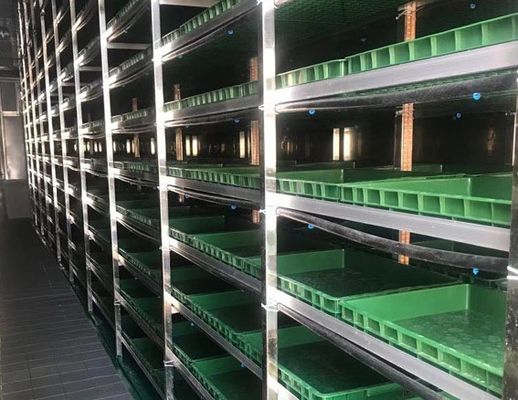 Contrôle de température intelligent Juxiang méthode de chauffage de la maison de conteneurs de légumes à feuilles