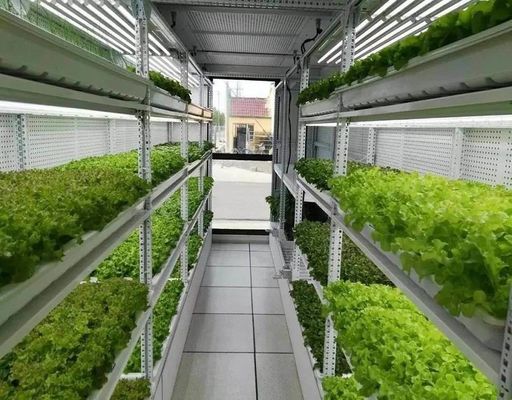 Système d'éclairage pour l'agriculture des conteneurs avec un délai de livraison estimé et un faible coût d'expédition