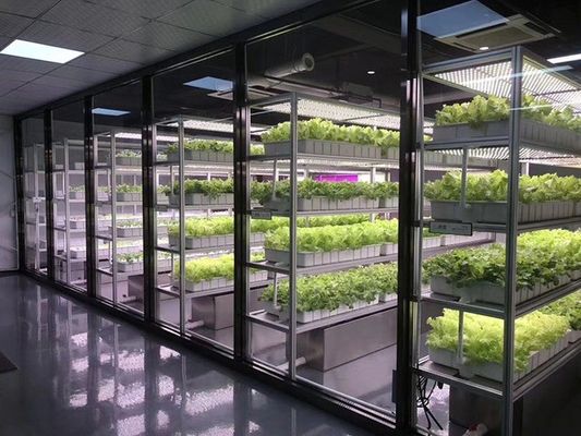 Système d'éclairage pour l'agriculture des conteneurs avec un délai de livraison estimé et un faible coût d'expédition