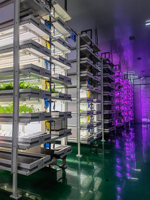 Système d'éclairage pour l'agriculture des conteneurs avec un délai de livraison estimé et un faible coût d'expédition