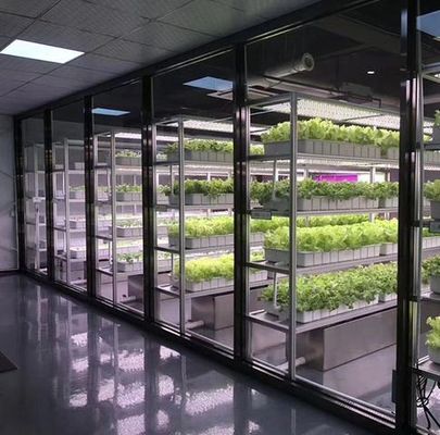 Département Container d'expédition Serre LED Solution d'éclairage pour la plantation de légumes