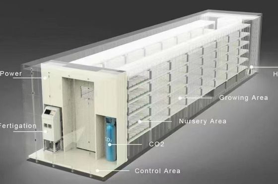 Département Container d'expédition Serre LED Solution d'éclairage pour la plantation de légumes