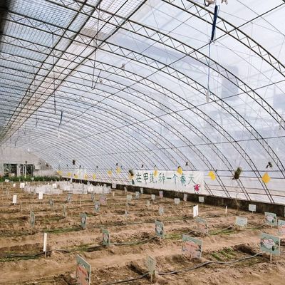 Plantage de fleurs Serre solaire à structure en acier à double ou à une seule couche