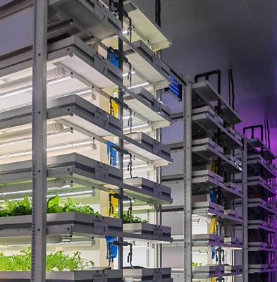 Système hydroponique verticale d'agriculture en serre dans un récipient de 40 pieds