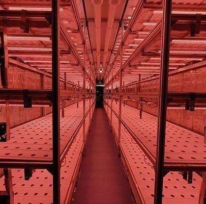 Matériau de revêtement en acier Système de conteneurs verticaux hydroponiques d'agriculture pour toit en forme