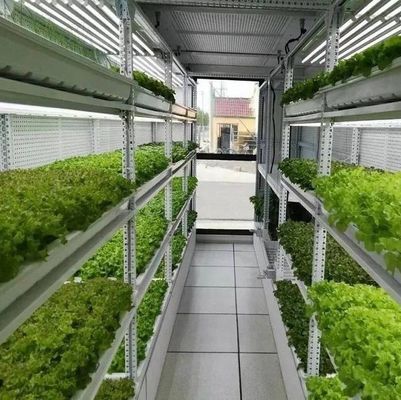 Matériau de revêtement en acier Système de conteneurs verticaux hydroponiques d'agriculture pour toit en forme