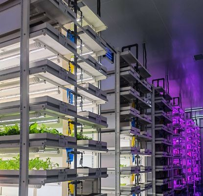 Matériau de revêtement en acier Système de conteneurs verticaux hydroponiques d'agriculture pour toit en forme