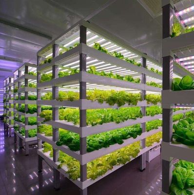 Matériau de revêtement en acier Système de conteneurs verticaux hydroponiques d'agriculture pour toit en forme