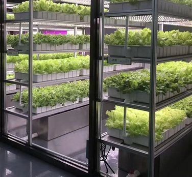 Matériau de revêtement en acier Système de conteneurs verticaux hydroponiques d'agriculture pour toit en forme