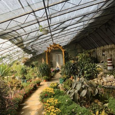 La lumière du soleil et l'irrigation automatisée pour l'aquaponie dans une serre recouverte de feuilles de plastique