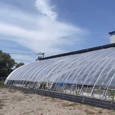 Système de culture hydroponique sur toit en arche dans une serre ensoleillée avec structure en acier