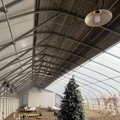 Monnaie des États-Unis Système de serre à double ou à une seule couche végétale à lumière solaire dans le budget