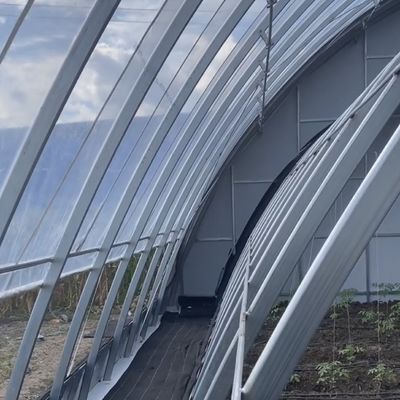 Monnaie des États-Unis Système de serre à double ou à une seule couche végétale à lumière solaire dans le budget